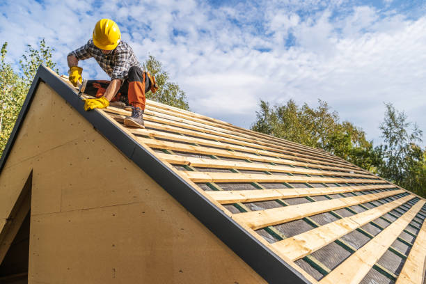Roof Gutter Cleaning in Fulton, IL