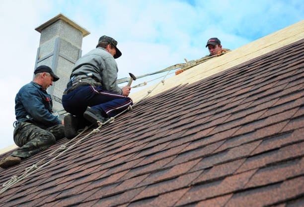 Best Storm Damage Roof Repair  in Fulton, IL